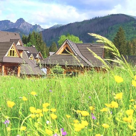 Krokus Park Residence - Dla Dorosłych Kościelisko Zewnętrze zdjęcie